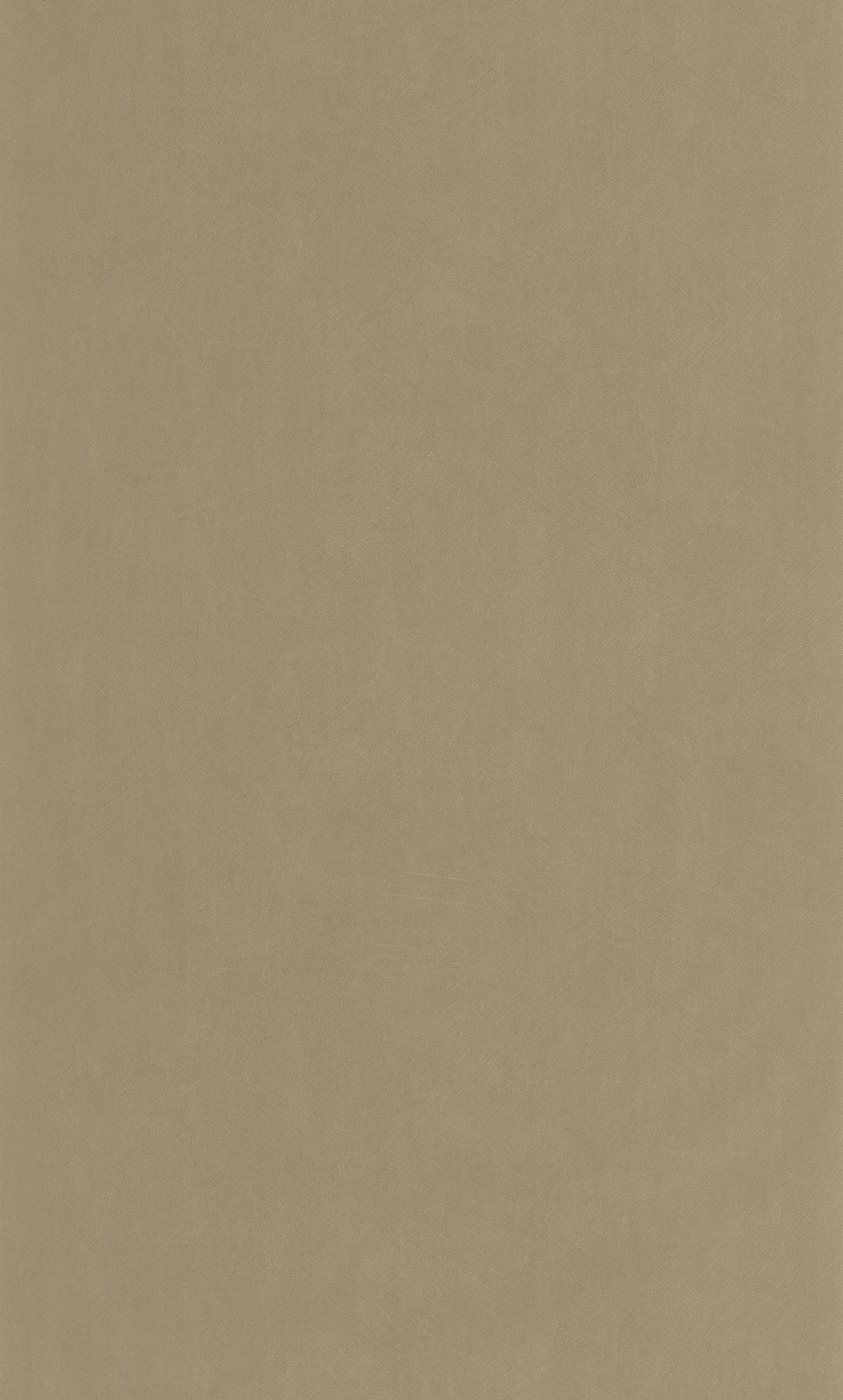 Nest - NEST201002662