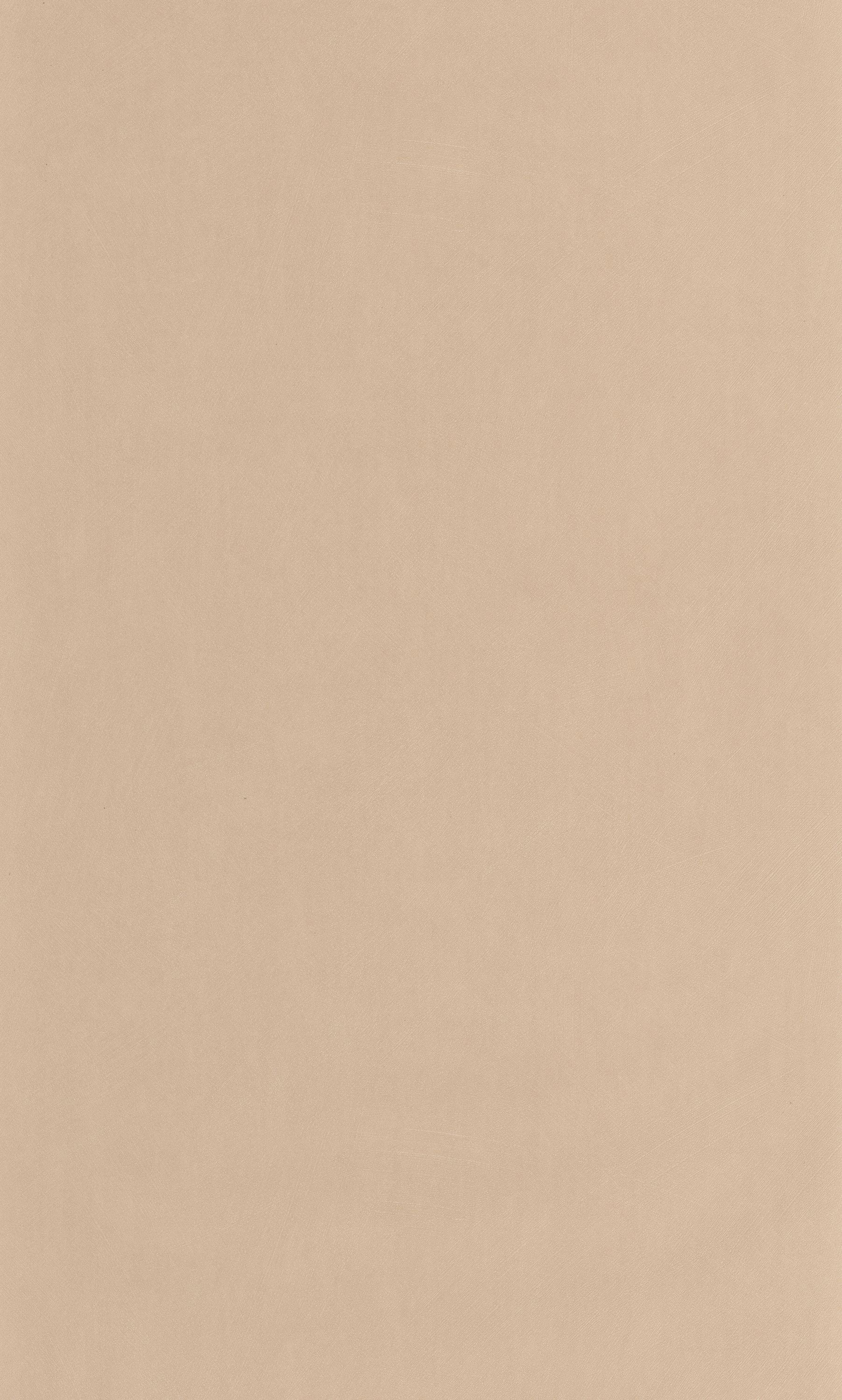 Nest - NEST201004334