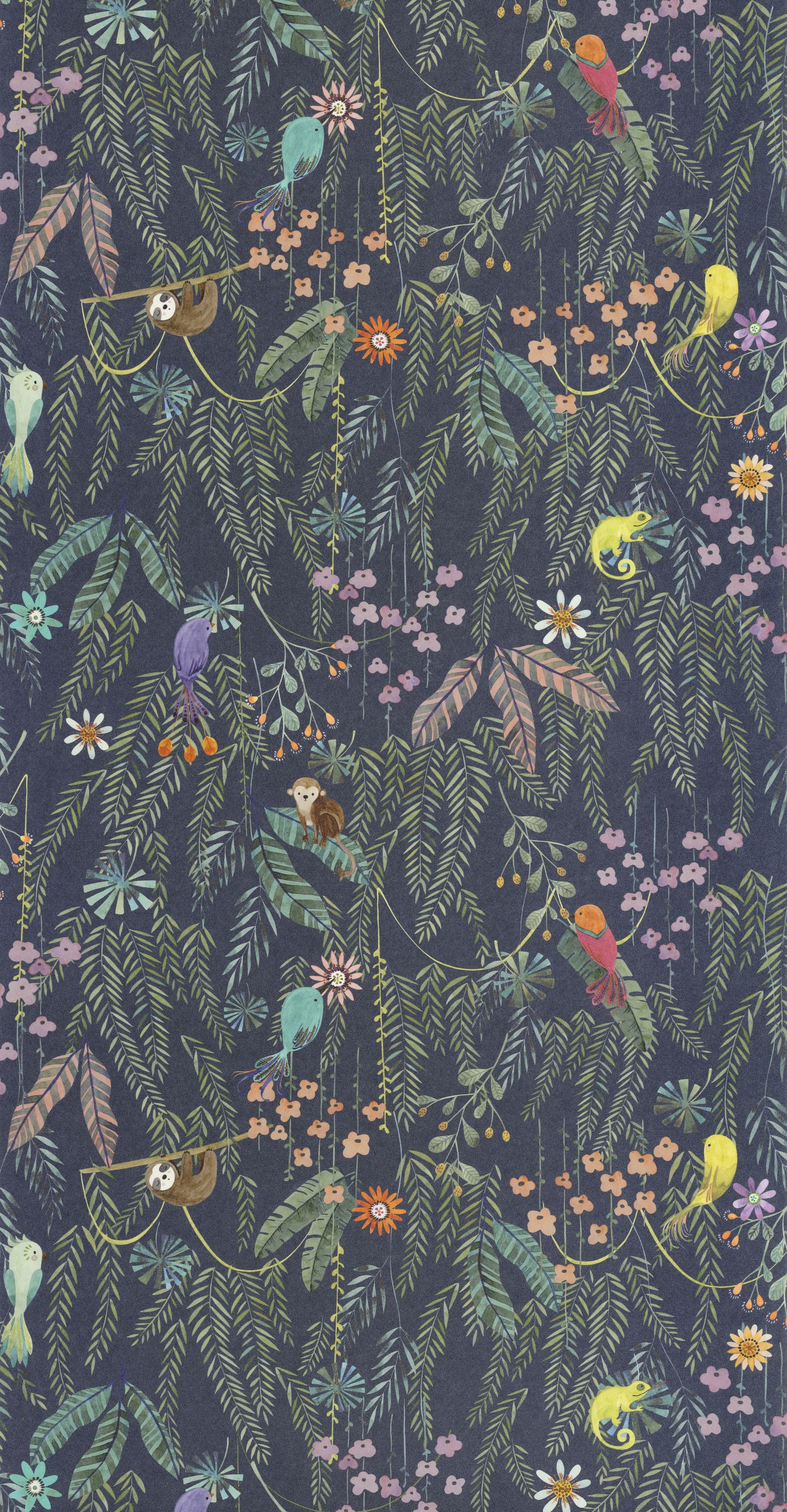 Tropical Forest - OUTD200756909