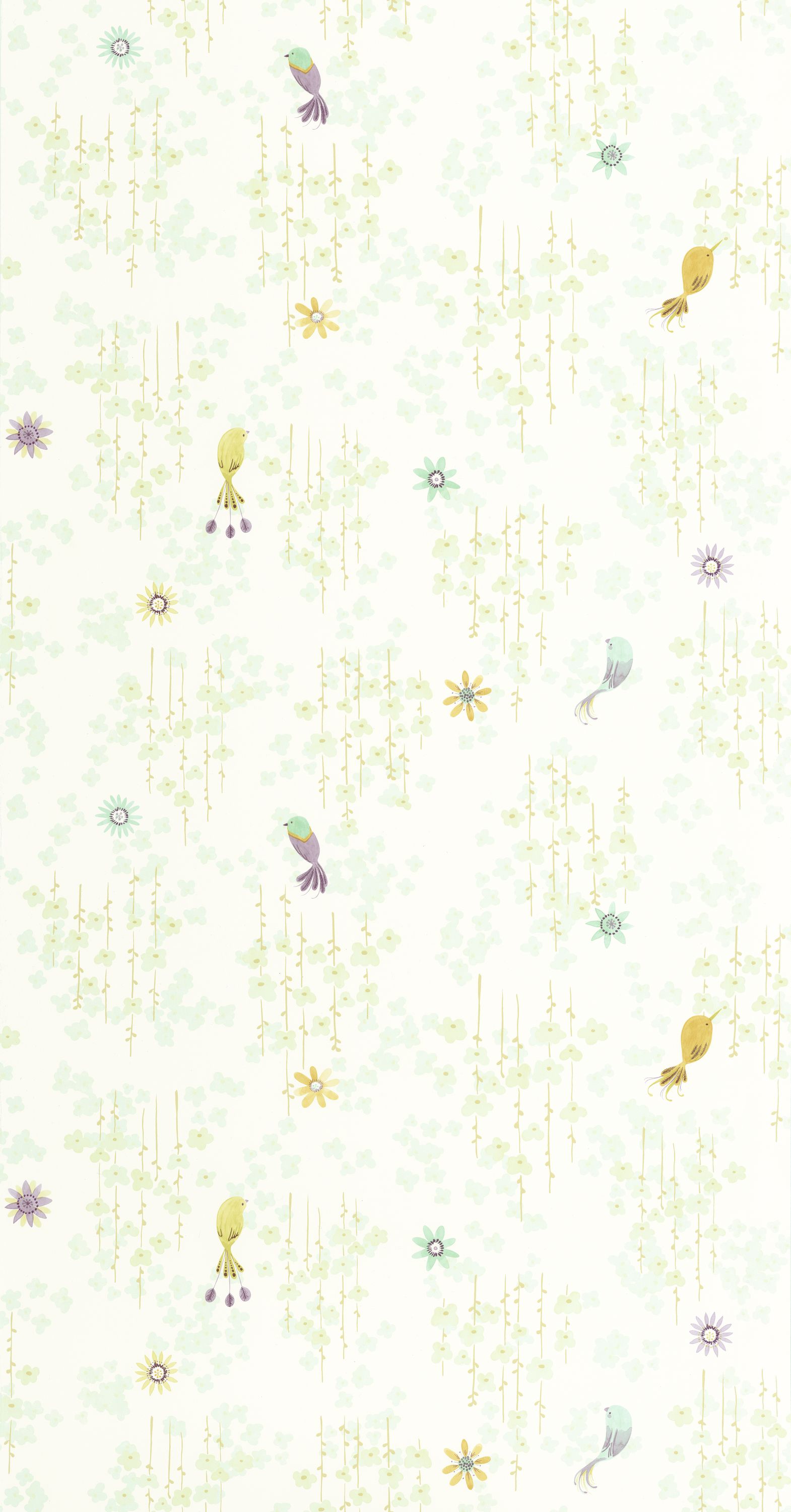 Tropical Birds - OUTD200787117