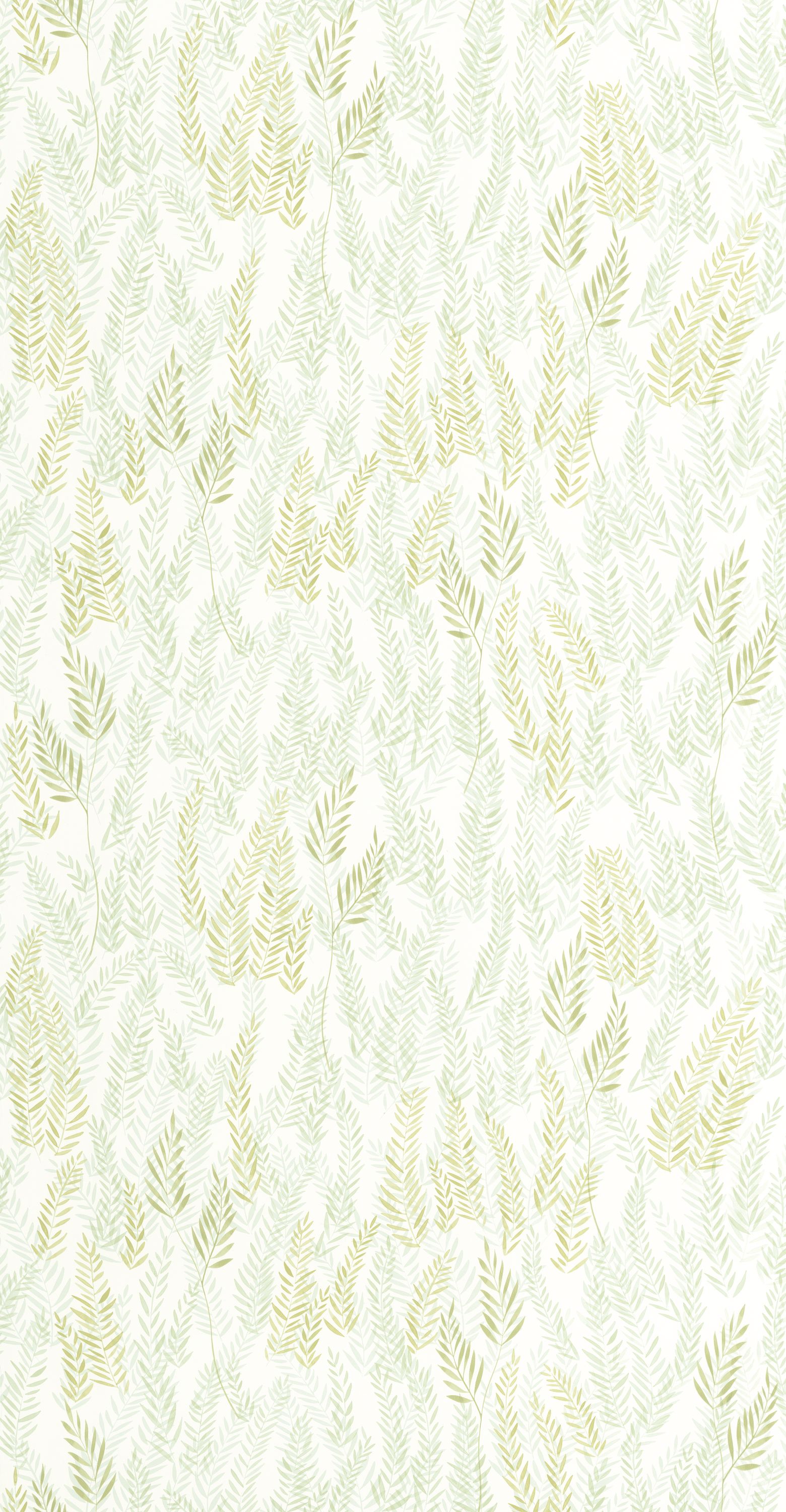 Walk In The Jungle - OUTD200797515