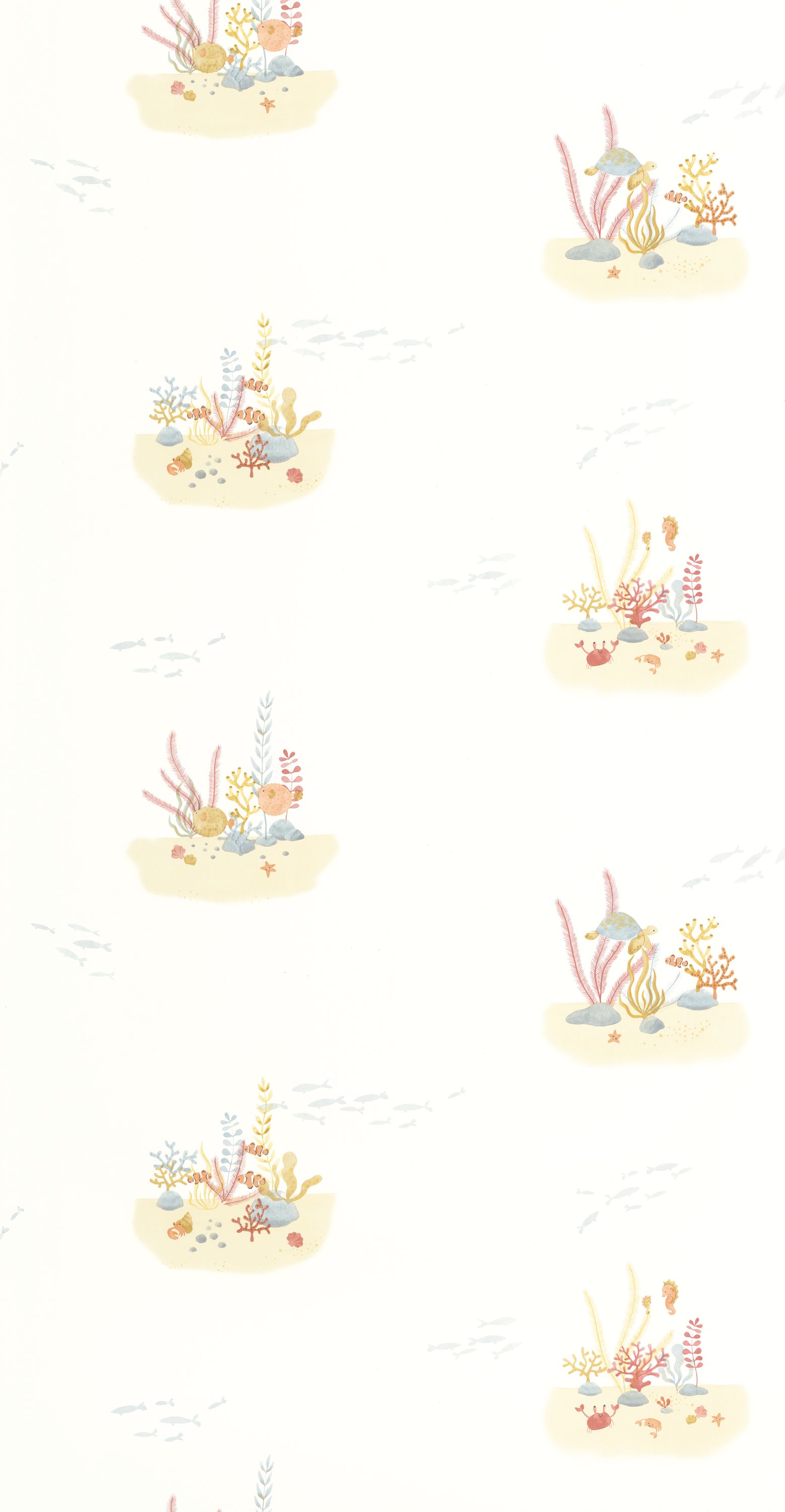 Coral Reef - OUTD200828228