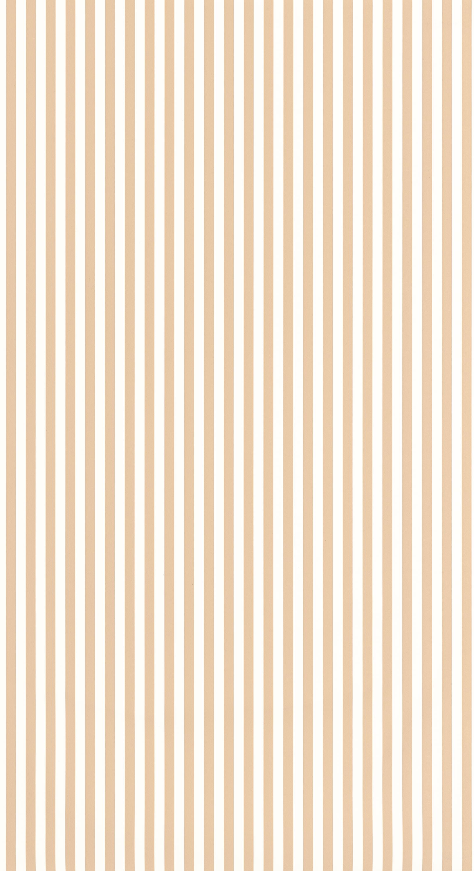 My Little World Rayure - OUTD29882343