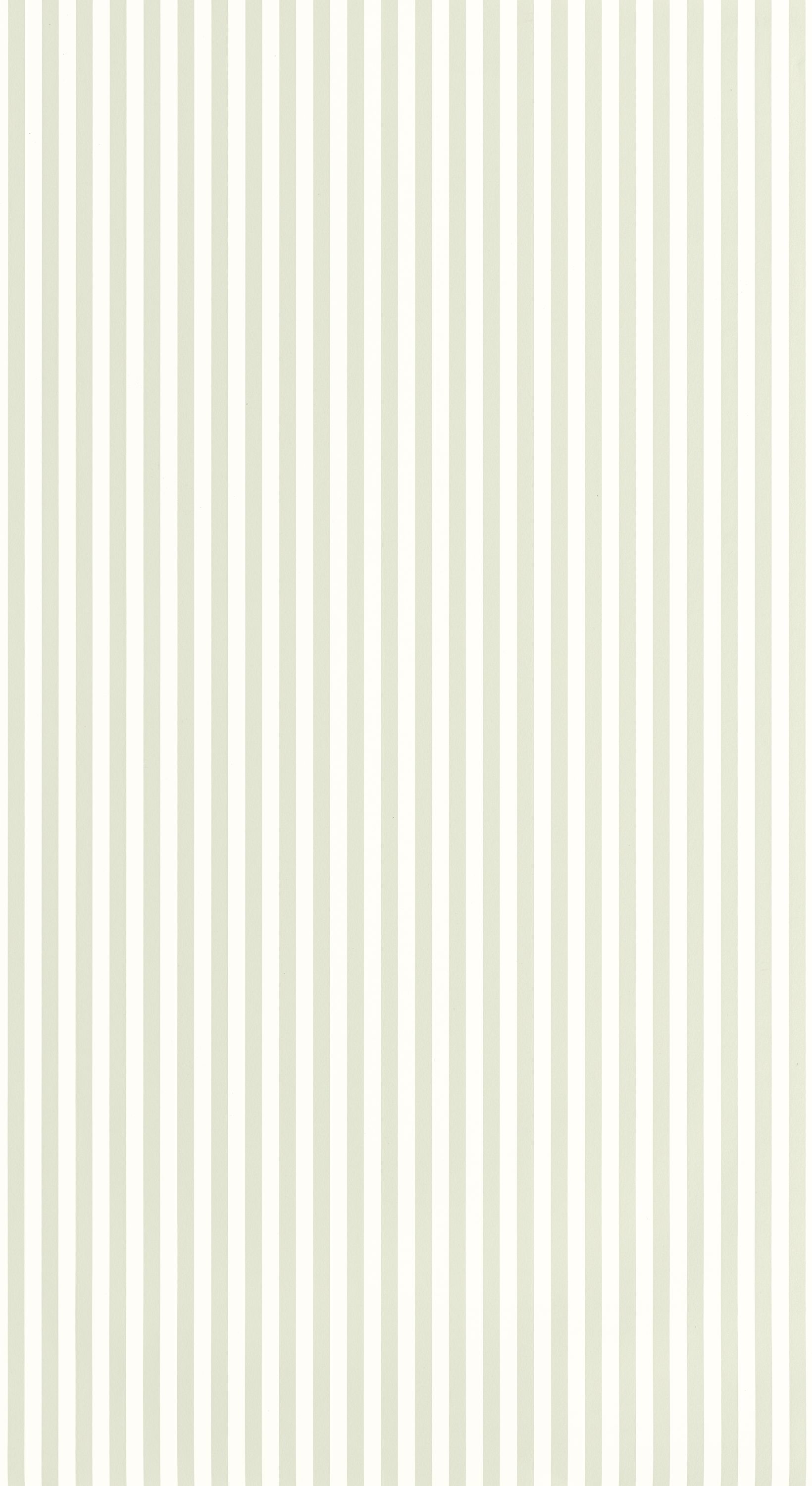 My Little World Rayure - OUTD29887589