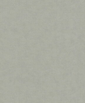 Shades - 32417