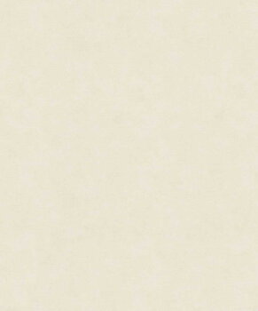 Shades - 32424