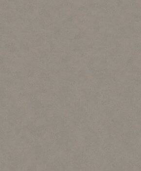 Shades - 32429