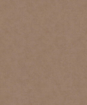 Shades - 32431