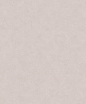 Shades - 32434