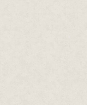 Shades - 32439