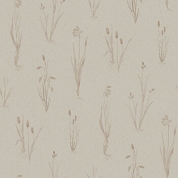 Moorland - 4711