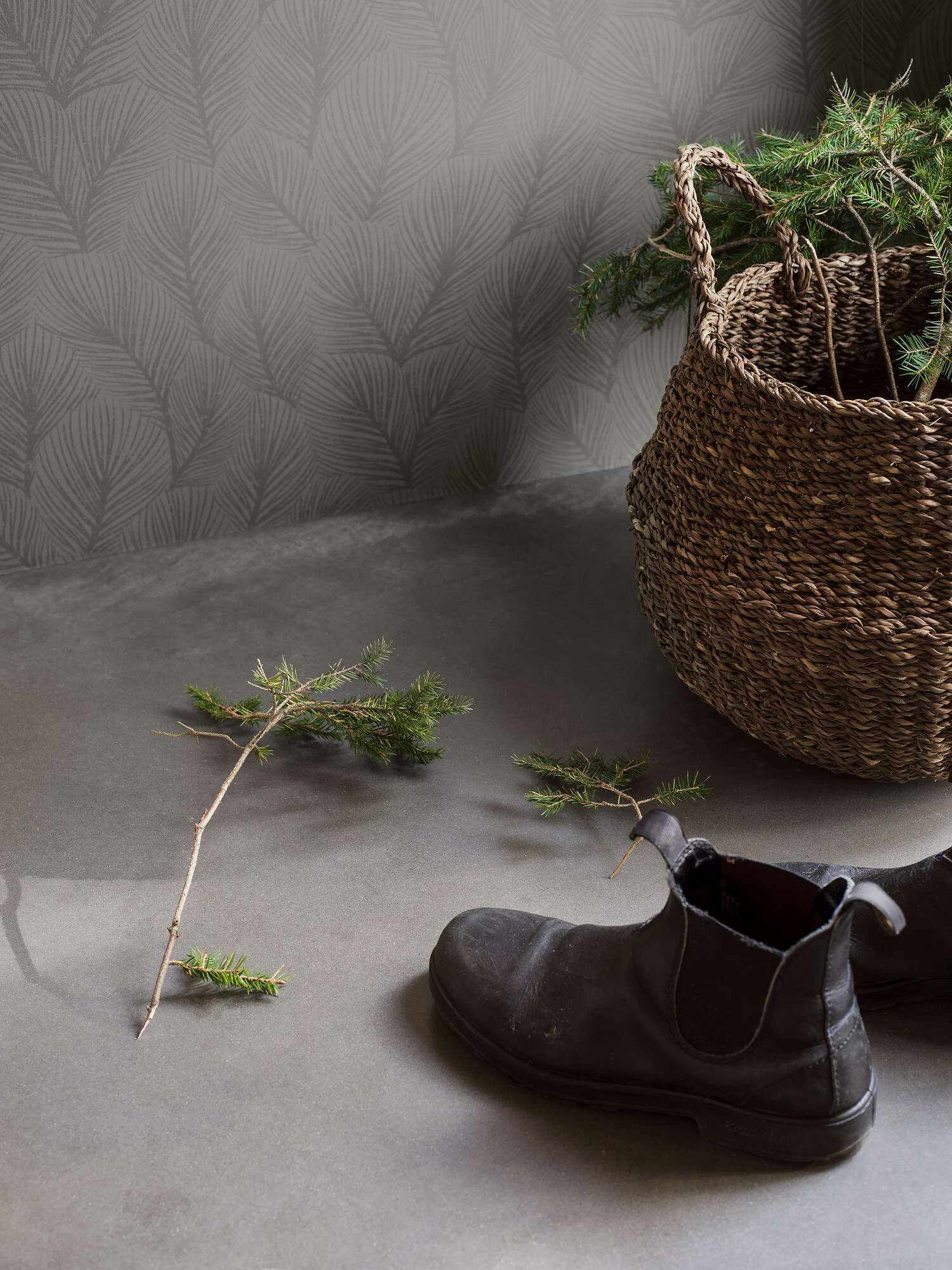 Pine Tree - 4704 - 3
