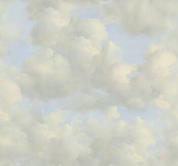 Cumulus - 351280