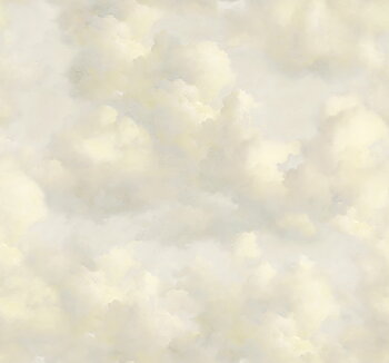 Cumulus - 351282