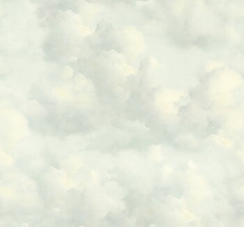 Cumulus - 351283