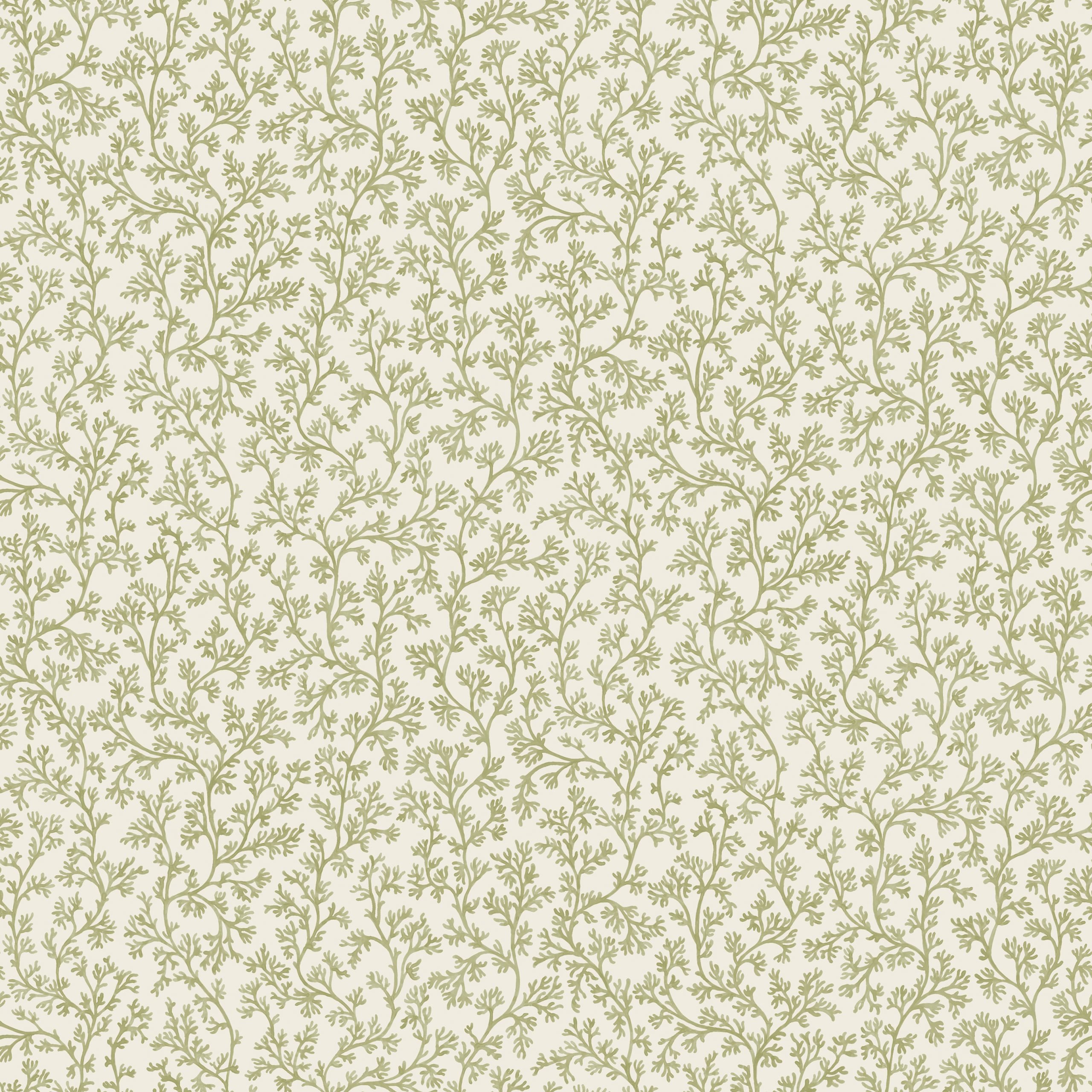 Posidonia - 92040