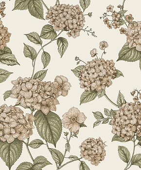 Hortensia - 92120