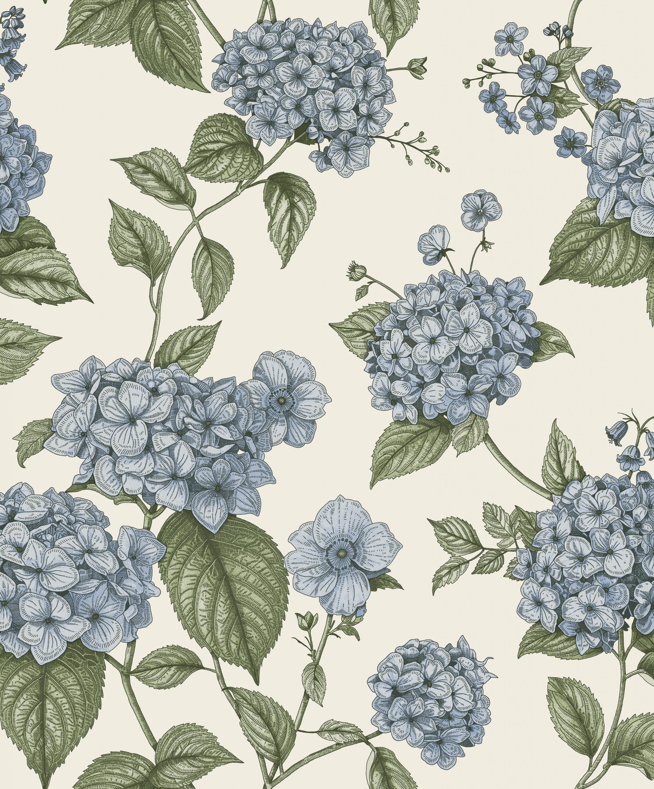 Hortensia - 92121