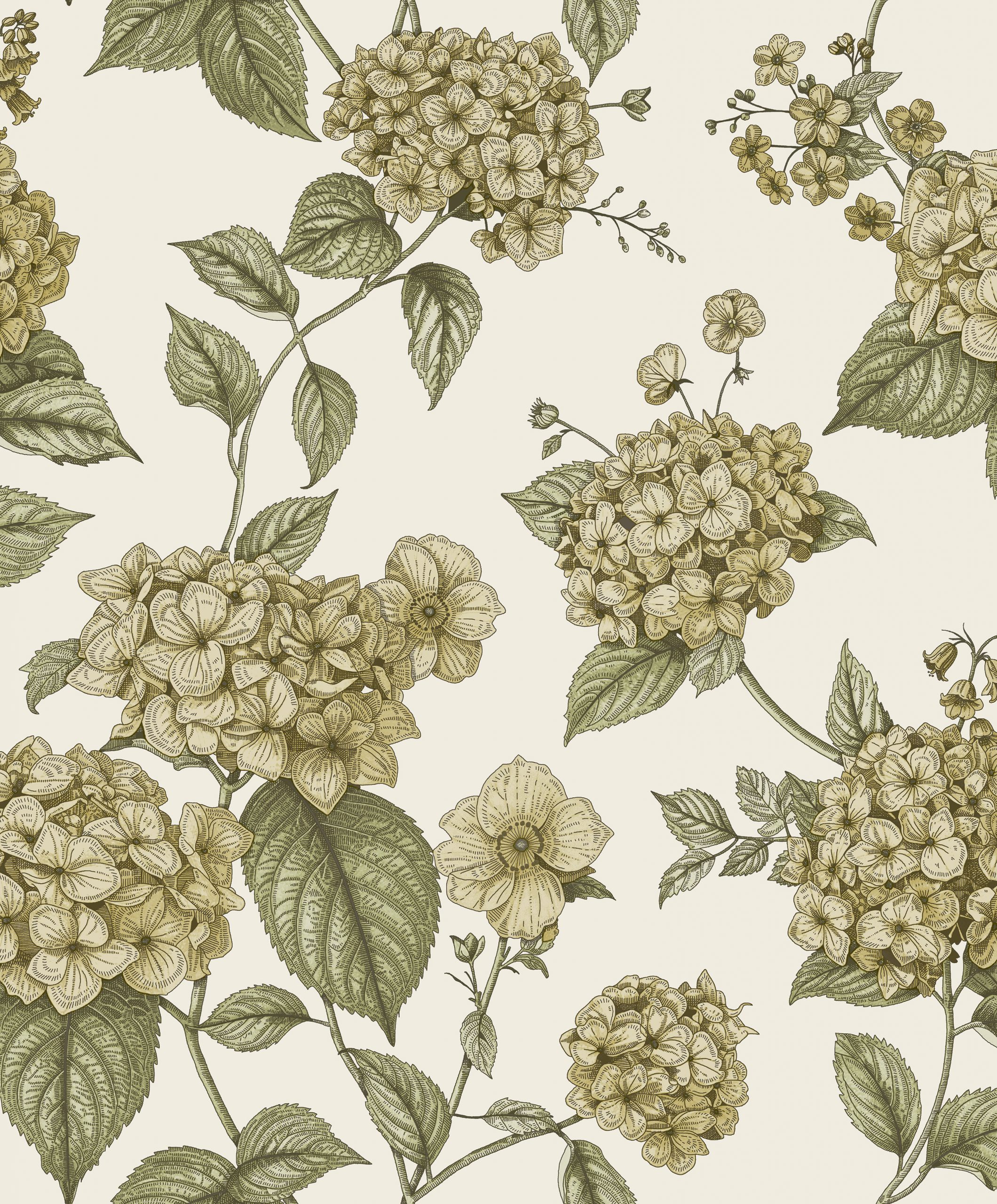 Hortensia - 92122