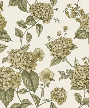 Hortensia - 92122