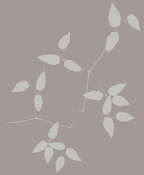Nordic Blossom - 390002