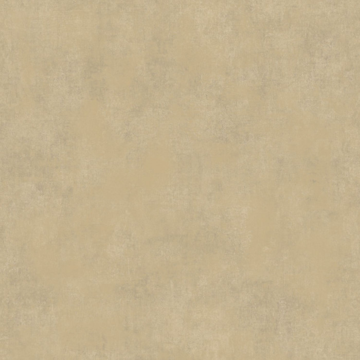 Stone - STNE80831265