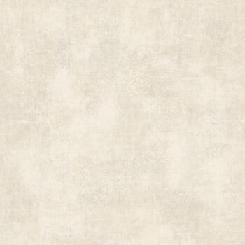 Stone - STNE80831405