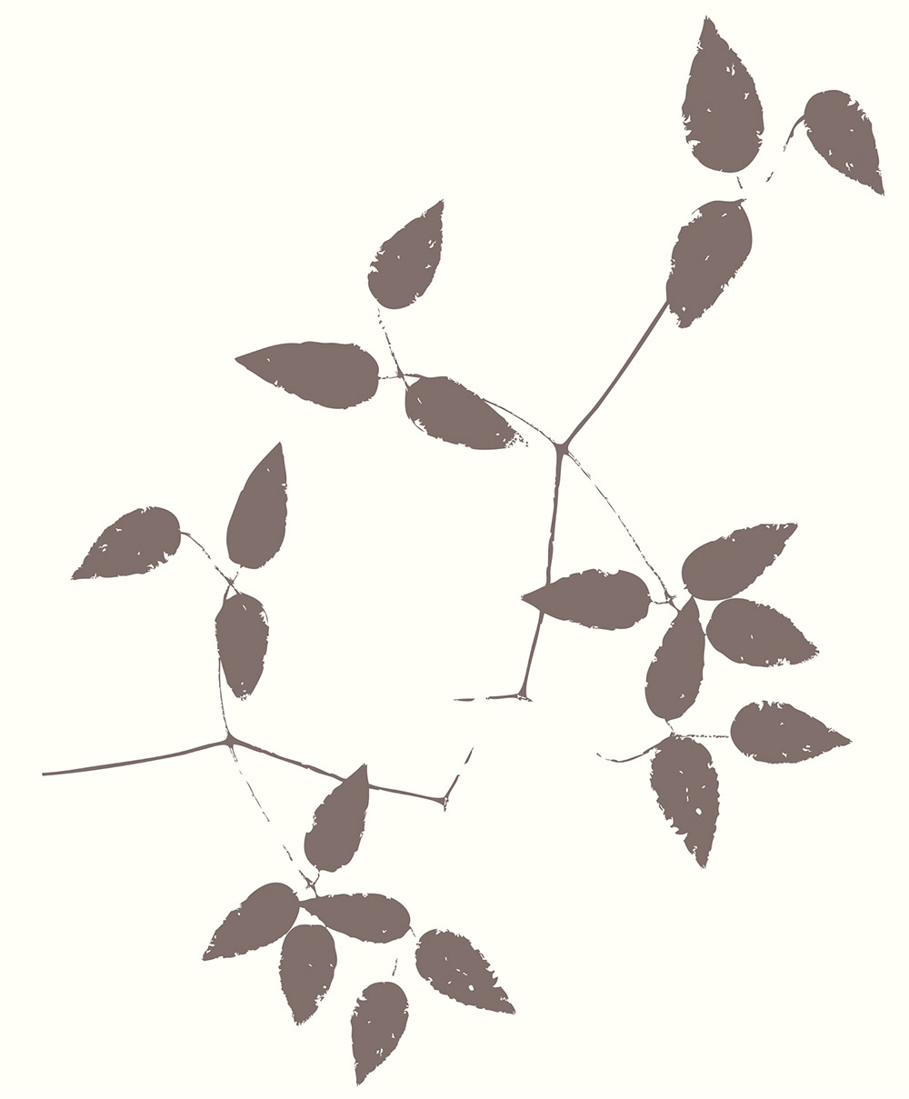 Nordic Blossom - 390008