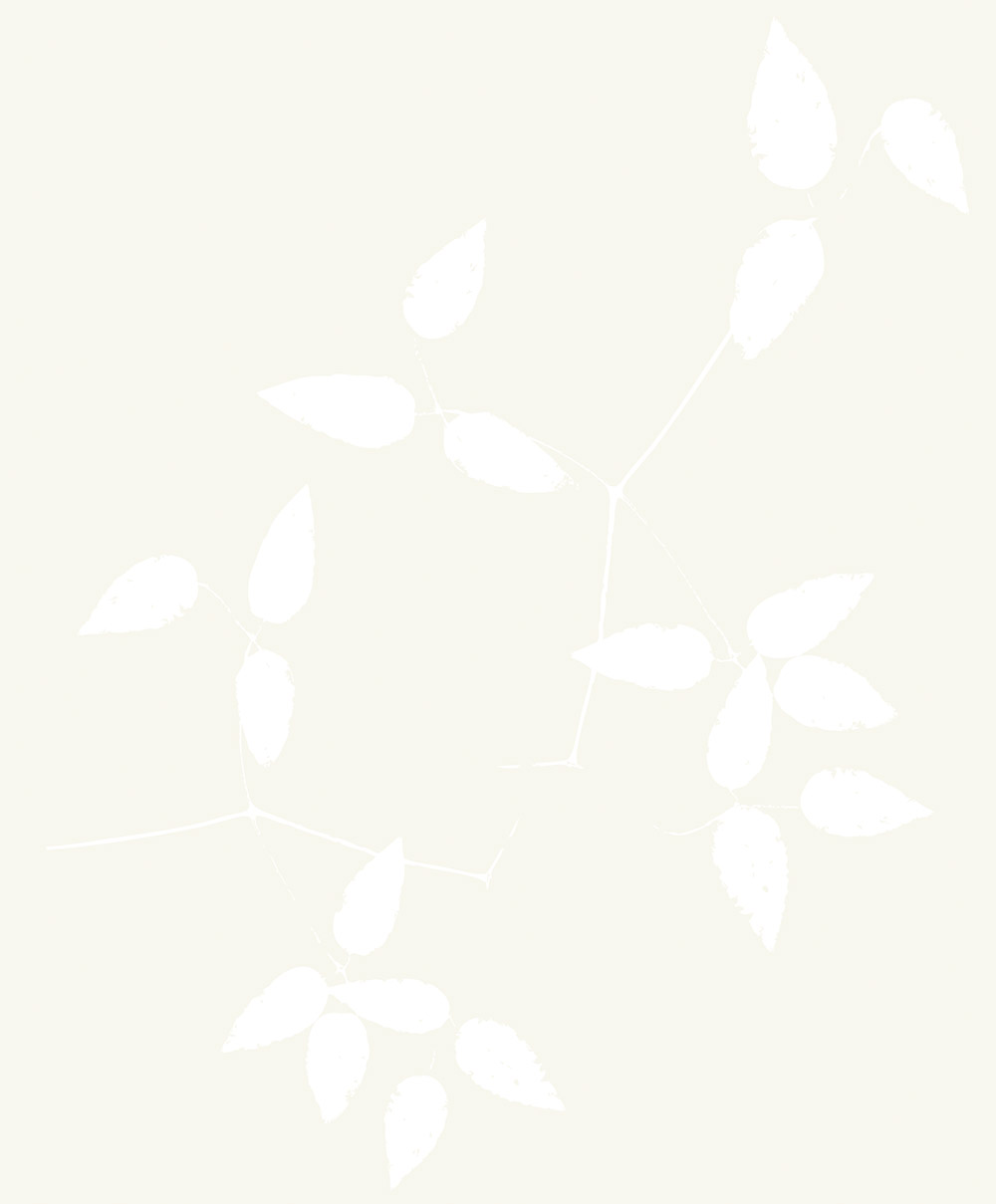 Nordic Blossom - 390009