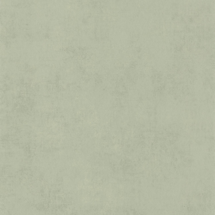 Stone - STNE80837227