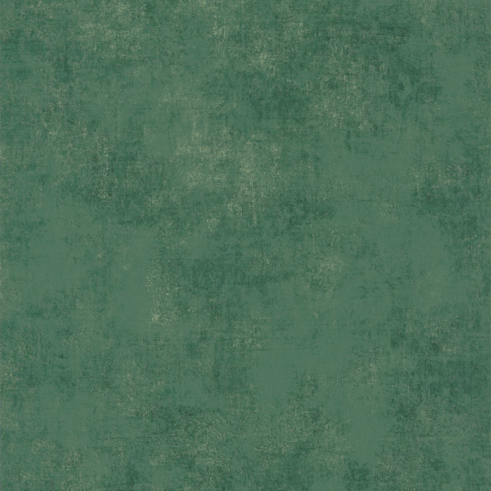 Stone - STNE80837446