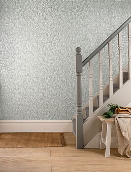 Aurora - 1804-119-05