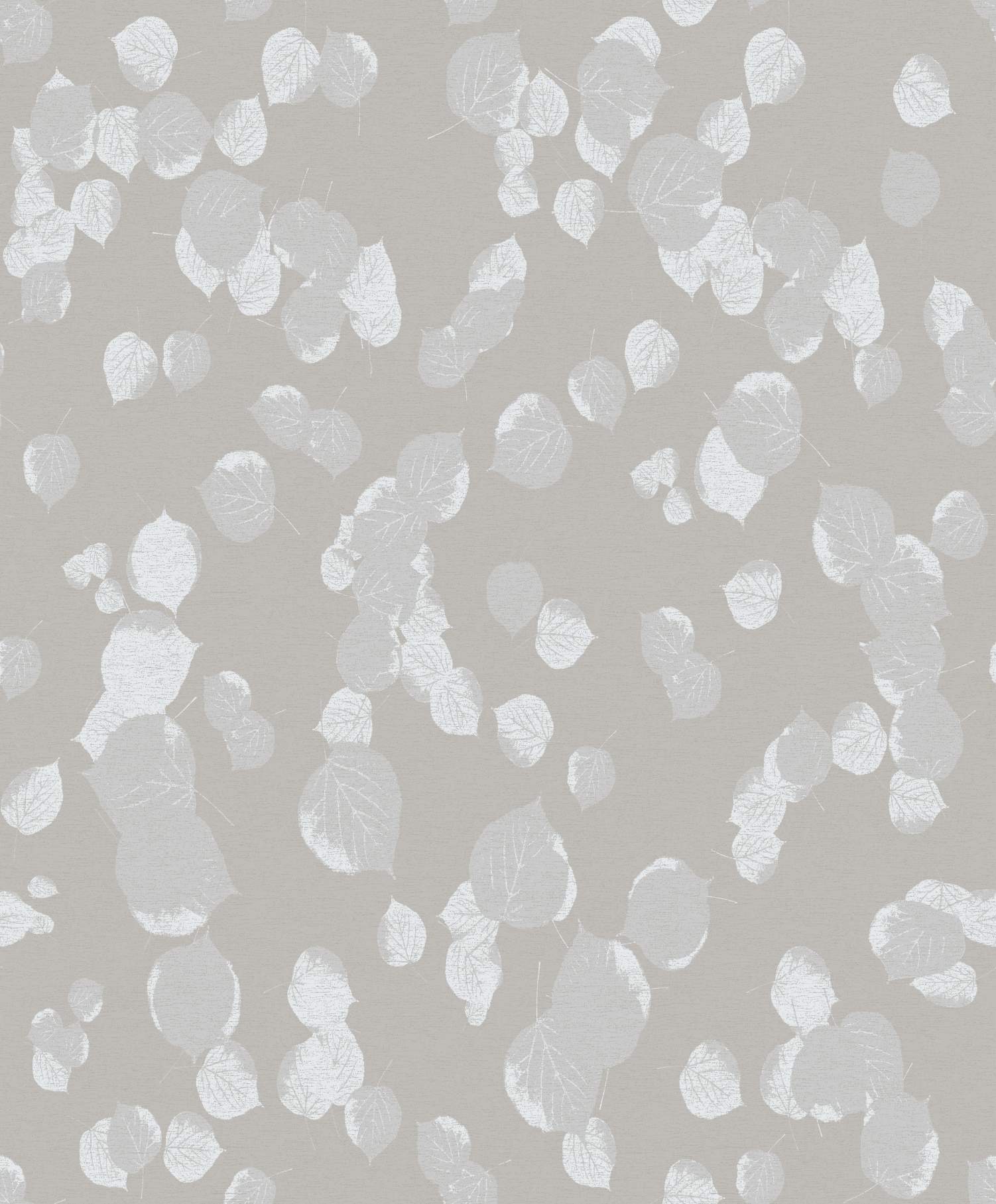 Royal Classic - 481008