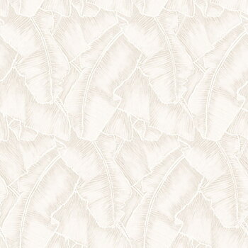 So White 4 - SWHT84320030