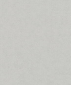 Shades - 32401
