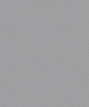 Nuance Plain Texture - LB25121