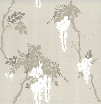 Camelia - 1703-109-01