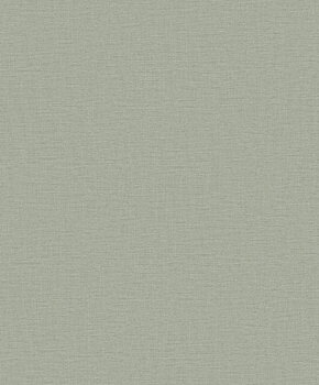 Nuance Plain Texture - LB25123