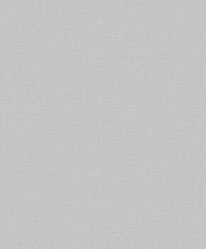 Nuance Plain Texture - LB25124