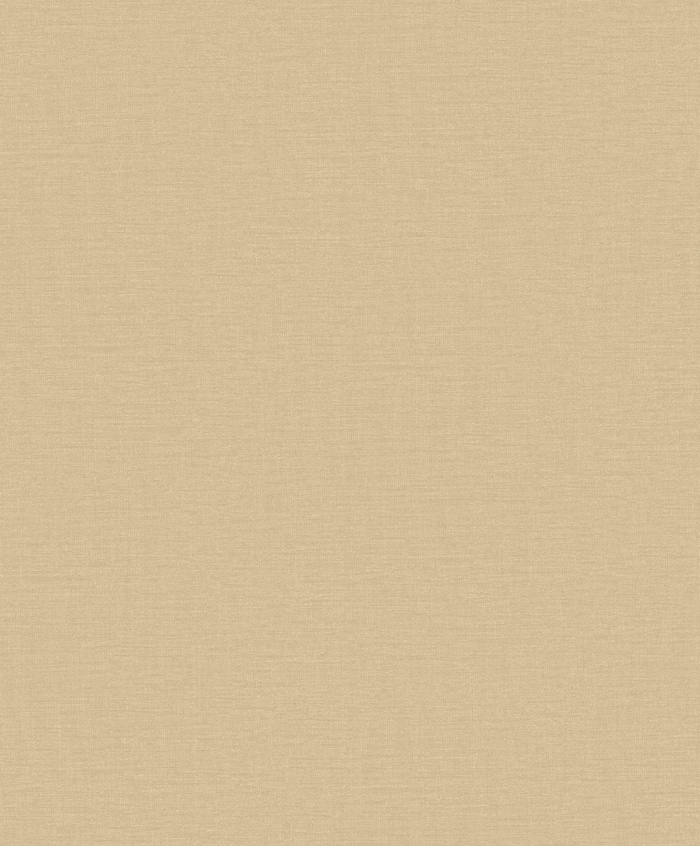 Nuance Plain Texture - LB25133