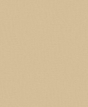 Nuance Plain Texture - LB25133