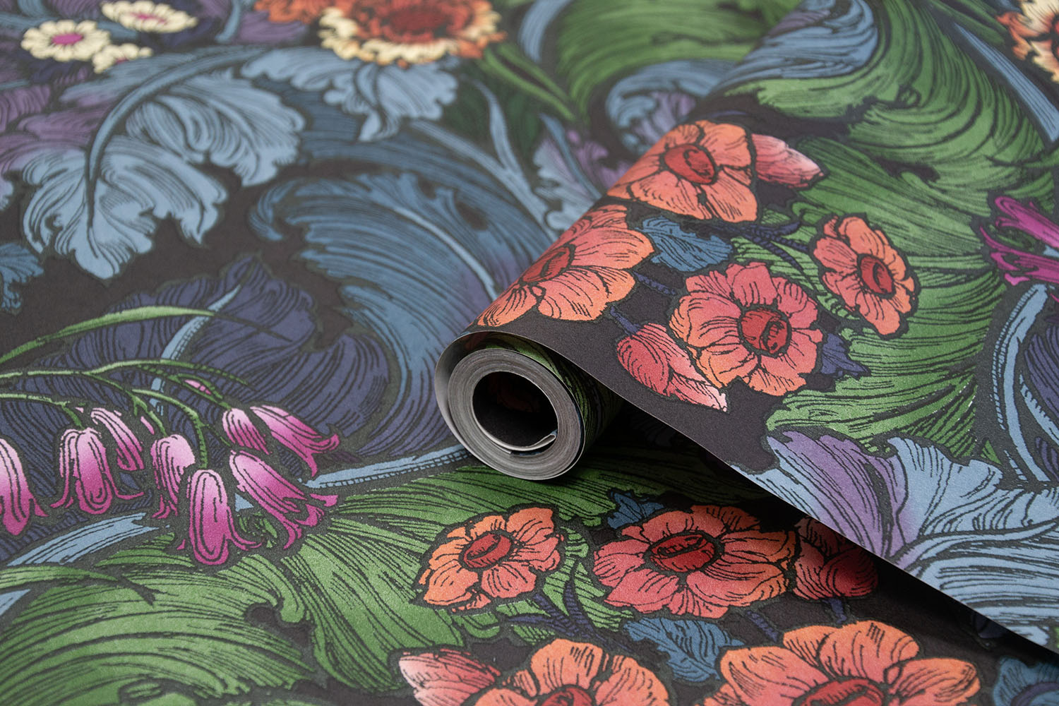 Hedgerovia - LB25134 - 2