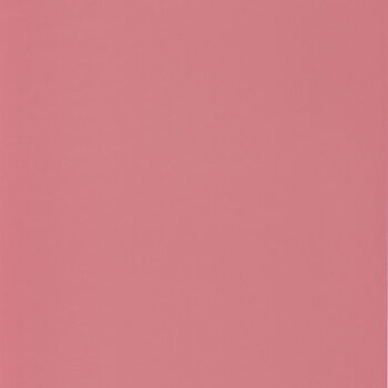 Rose & Nino - RONI69864600