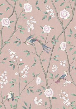 Paradise Birds - 1901