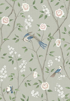 Paradise Birds - 1903