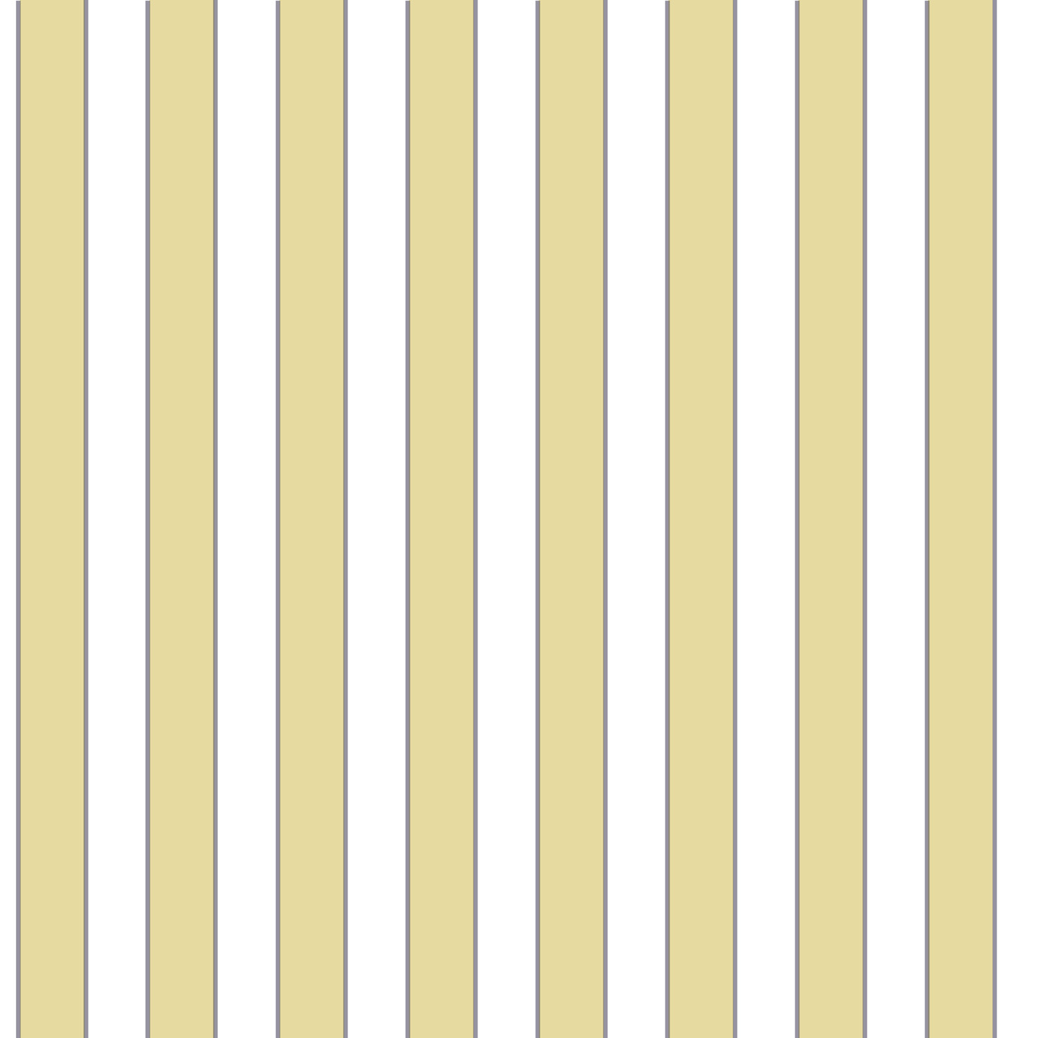 Smart Stripes - G23163