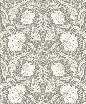 Pimpernel - KT31408