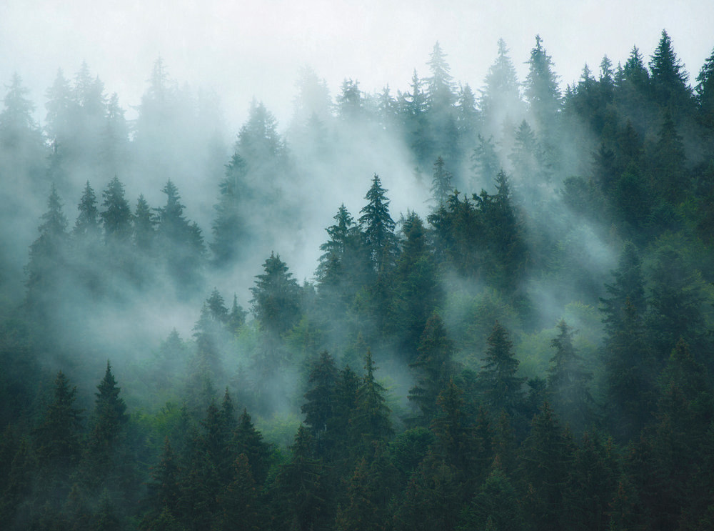 The Wall 3 - 39898-1