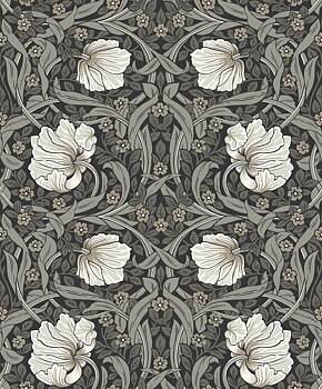Pimpernel - KT31410