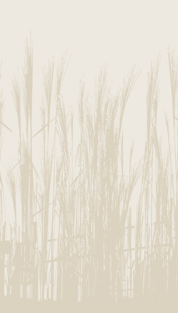 The Wall 3 - 39878-1